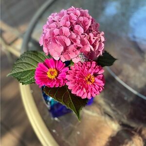 Meet your Posher, Allison